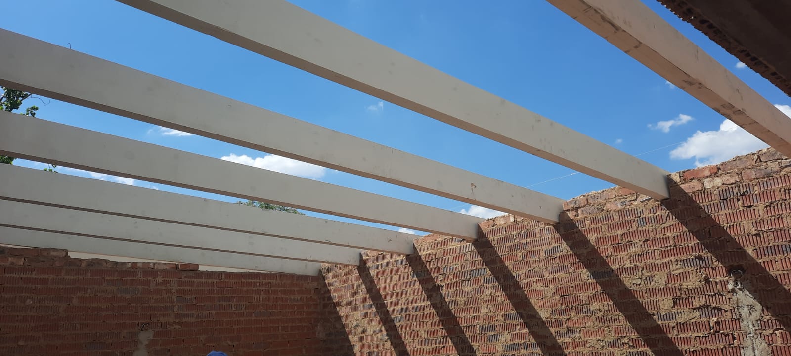 Roof struts and purlins detail